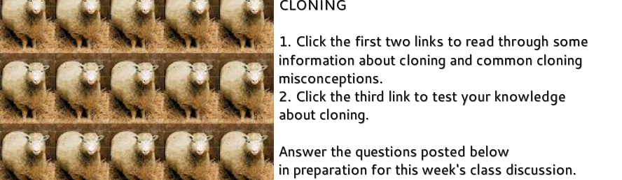 cloning webquest answers